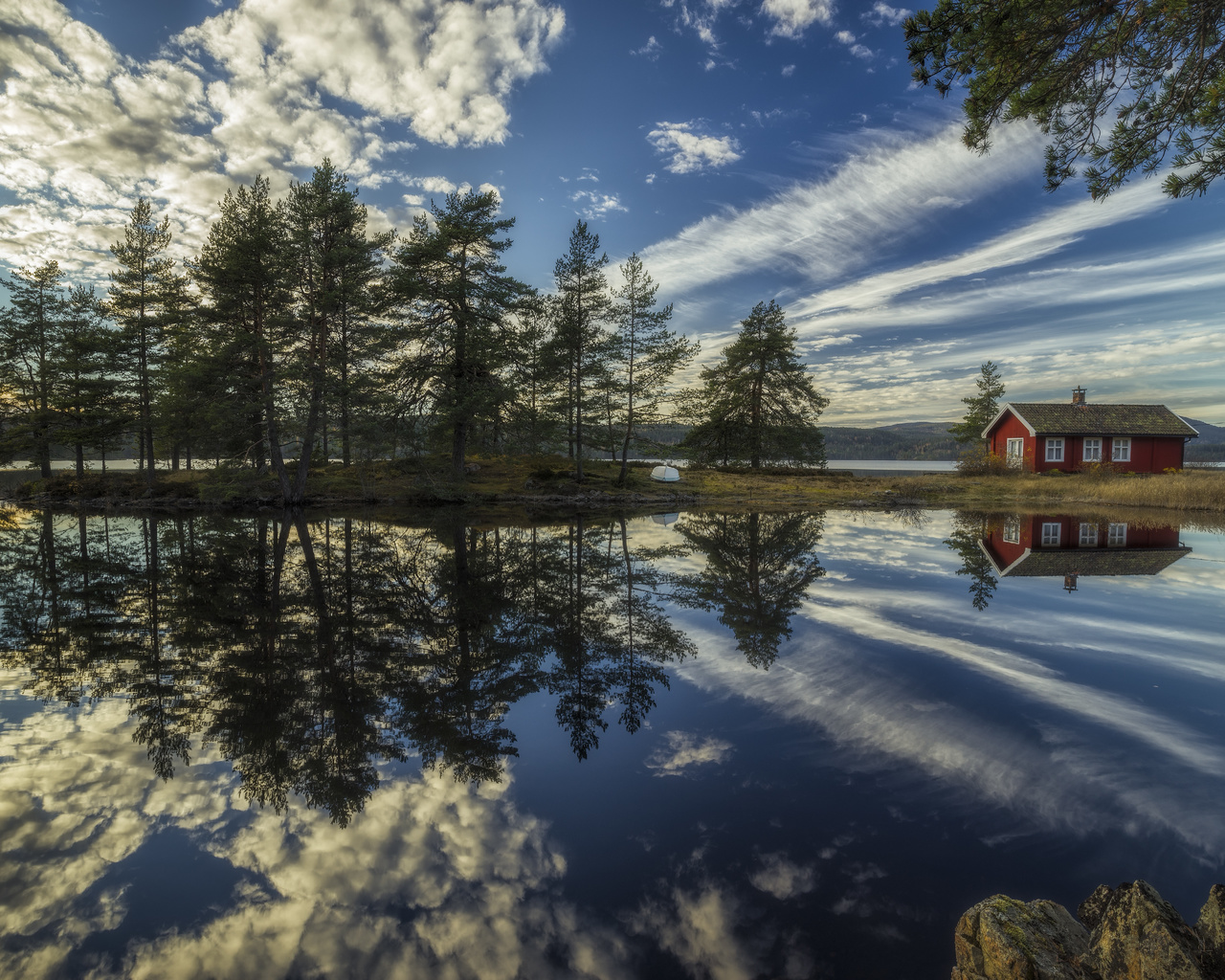 ringerike, trees, the lake house, norway