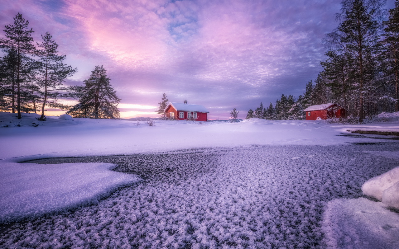 trees, house, norway, sky