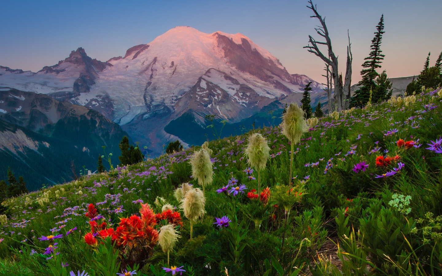 , , , , , , , mount rainier national park,   -, mount rainier,  , washington state, cascade range,  ,  