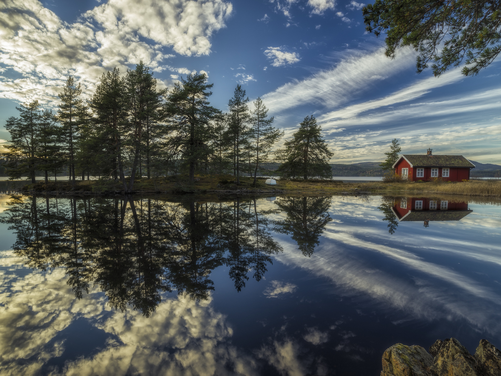 ringerike, trees, the lake house, norway