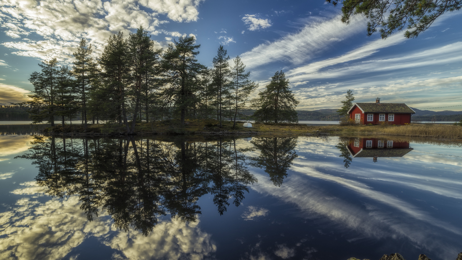 ringerike, trees, the lake house, norway