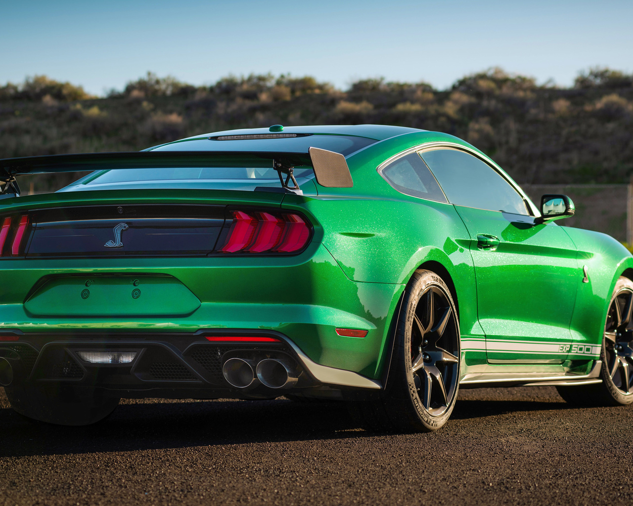 ford mustang, shelby, gt500