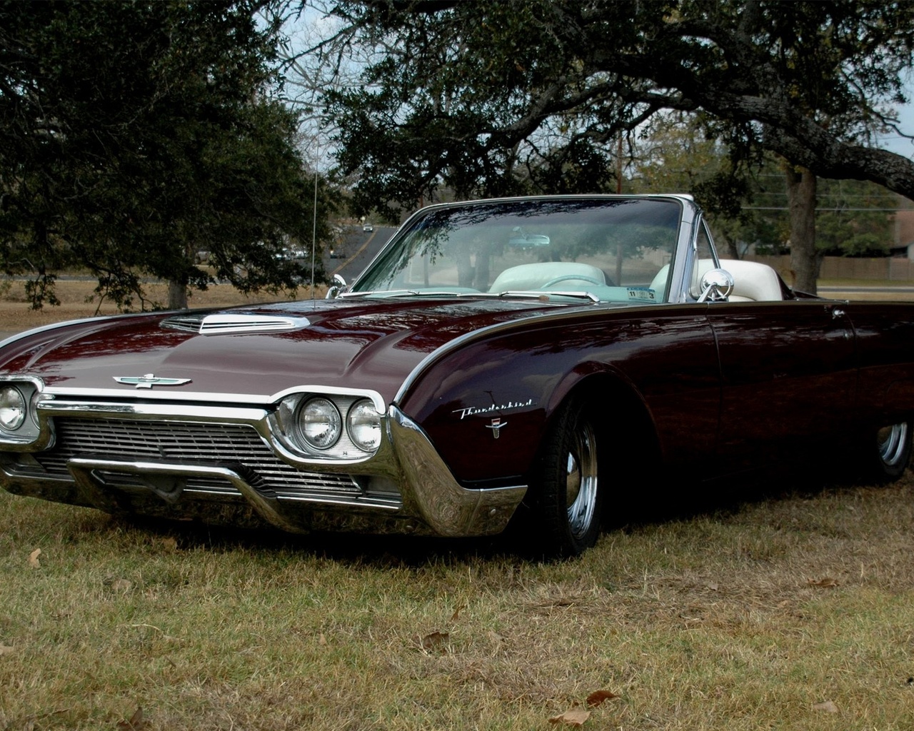 american, classic, car, ford,, thunderbird