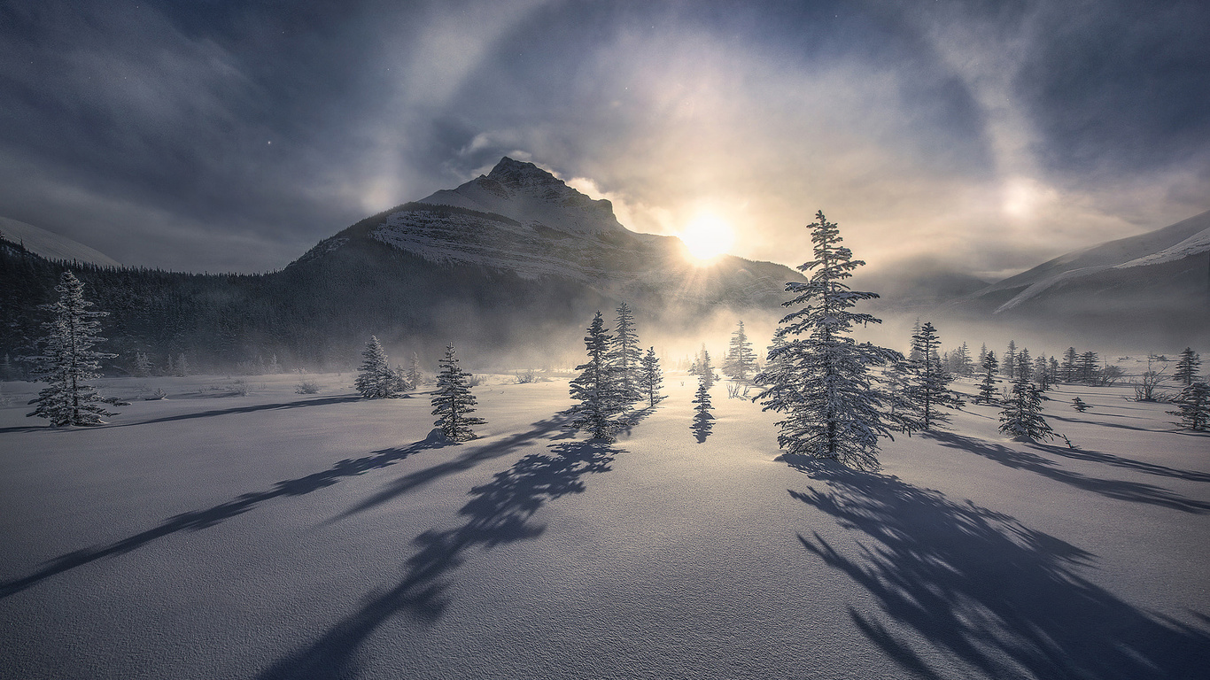 , , marc adamus, , , , , , 