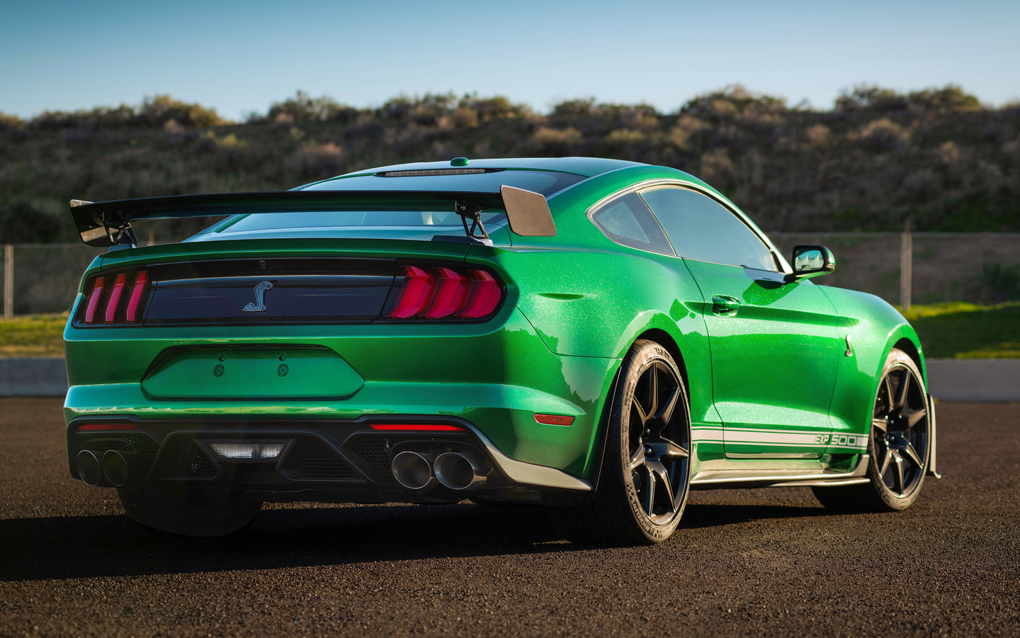 ford mustang, shelby, gt500