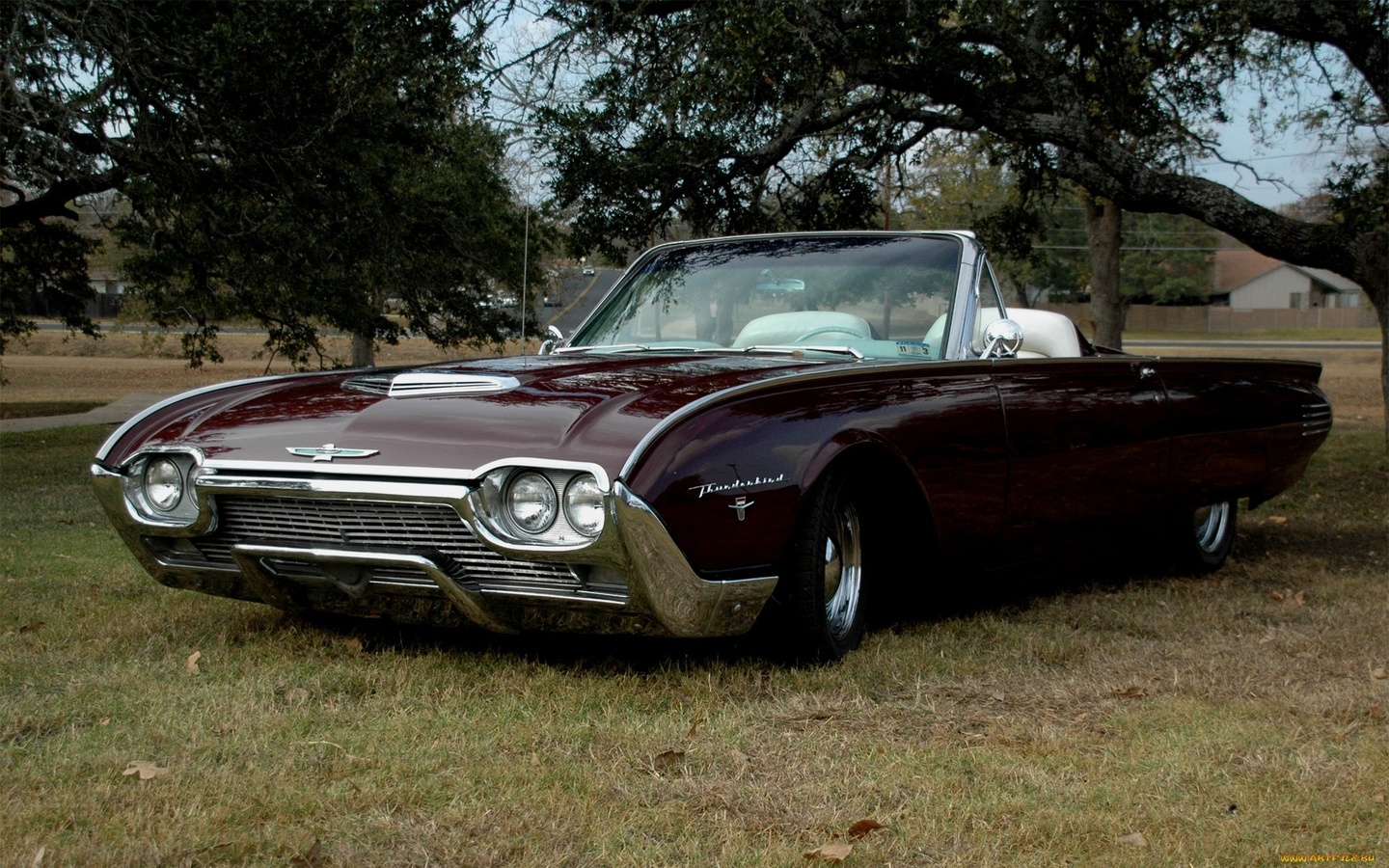 american, classic, car, ford,, thunderbird