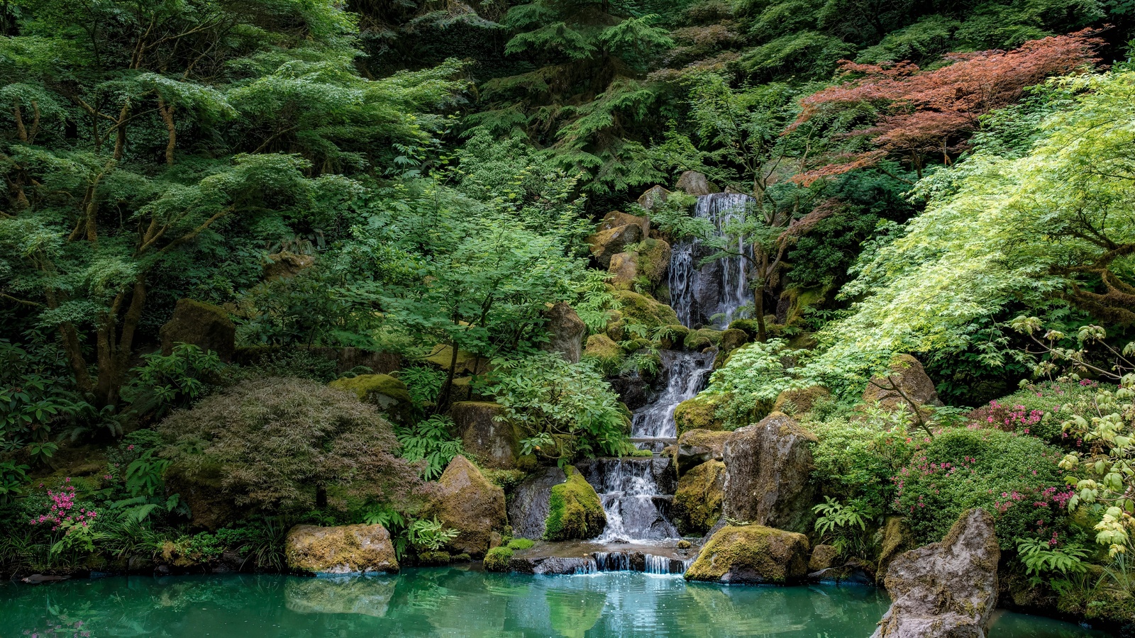 forest park, oregon, landscape