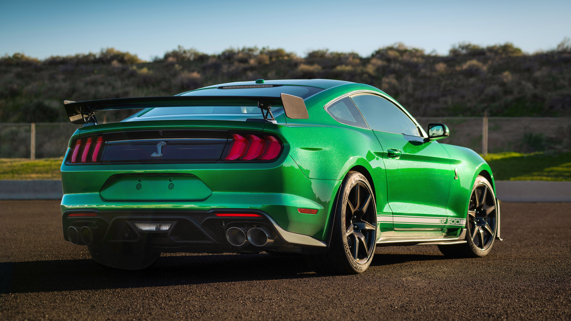 ford mustang, shelby, gt500