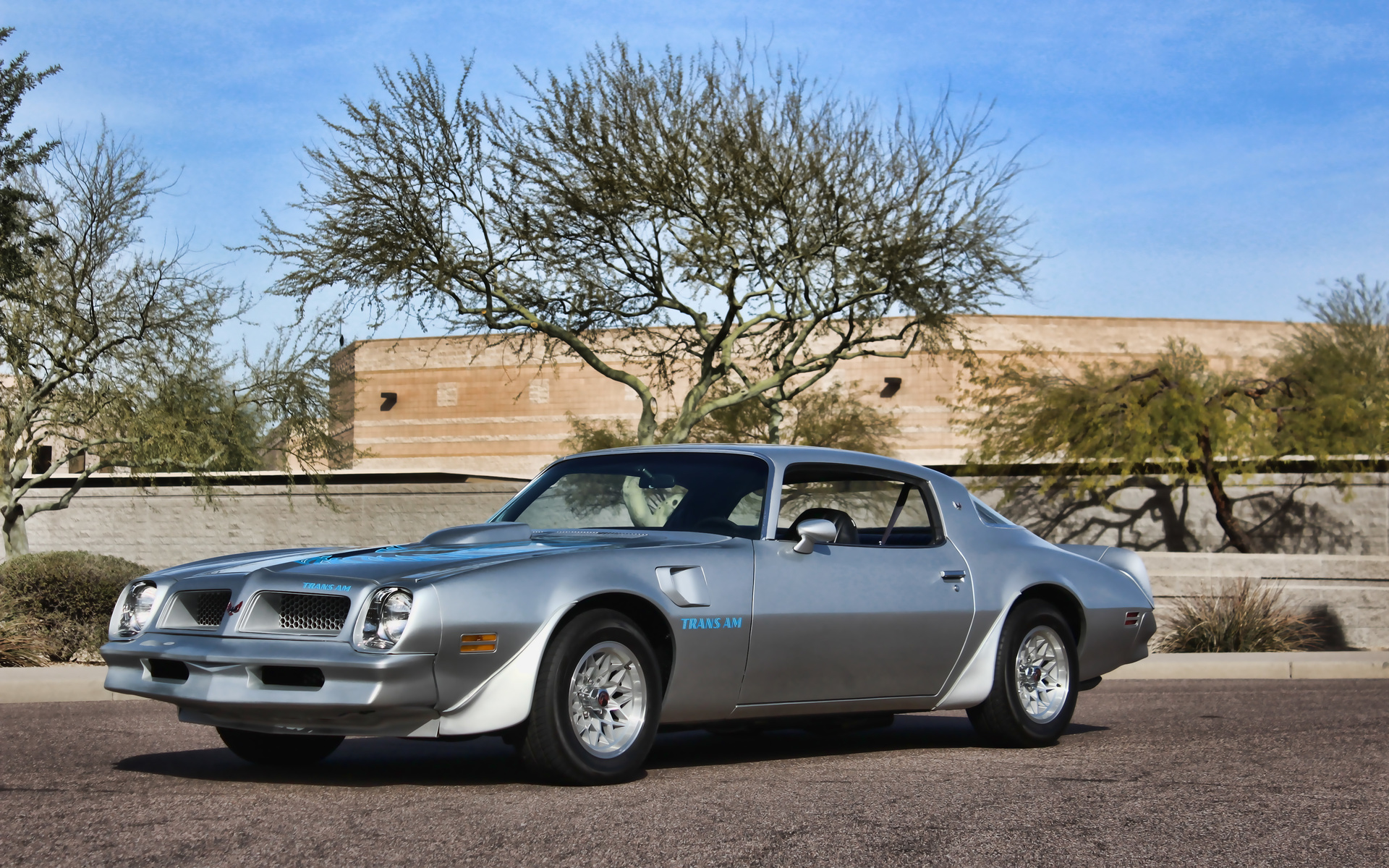 pontiac firebird, retro cars, 1976 cars, muscle cars, f-w87, 1976 pontiac firebird, american cars, pontia