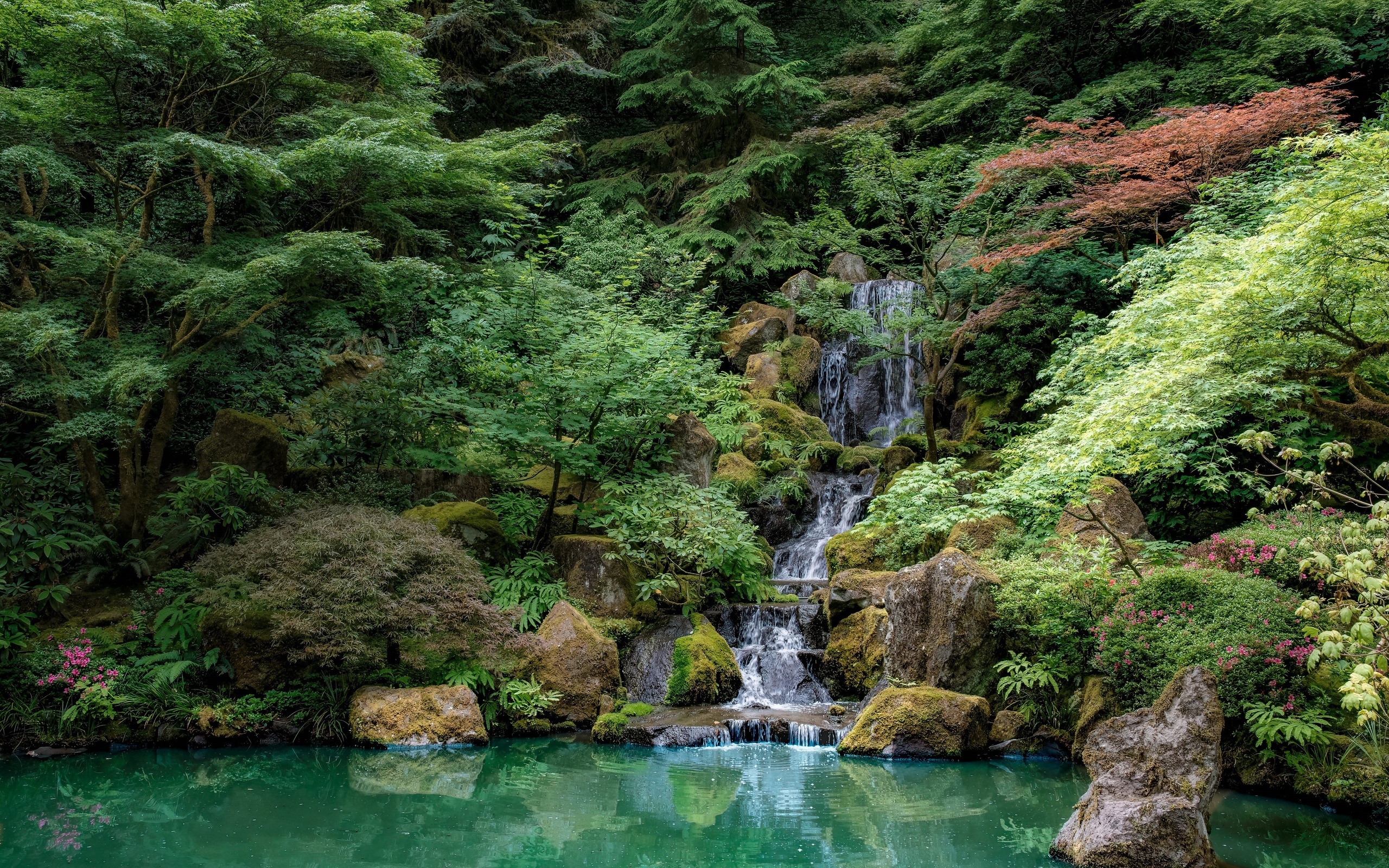 forest park, oregon, landscape