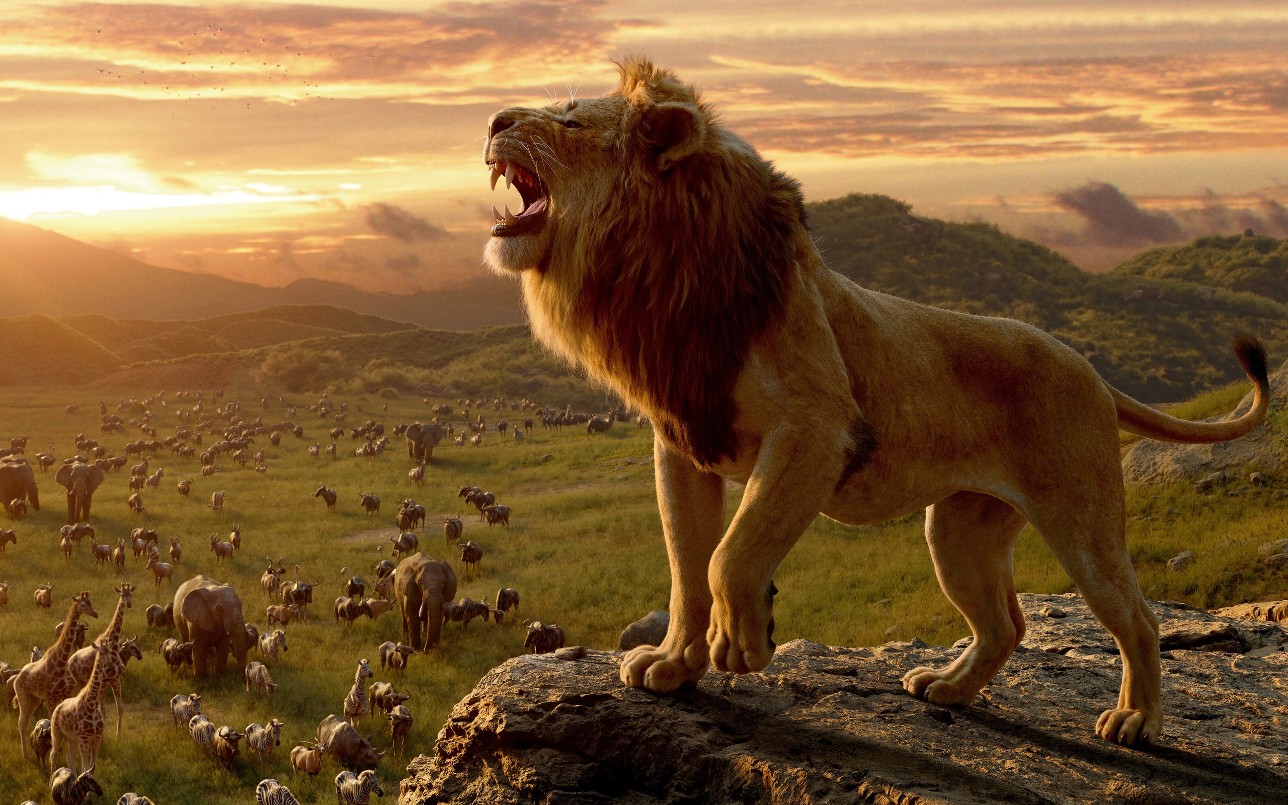 Картинки животные, закат, фильм, грива, лев, король лев, film, the lion  king, рычит - обои 2560x1600, картинка №382525