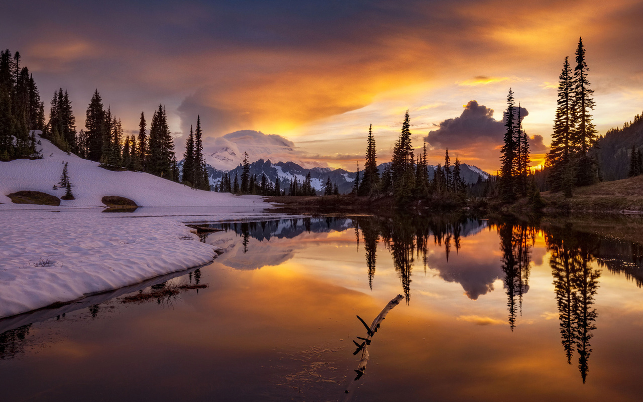 , , doug shearer, , , , , , 