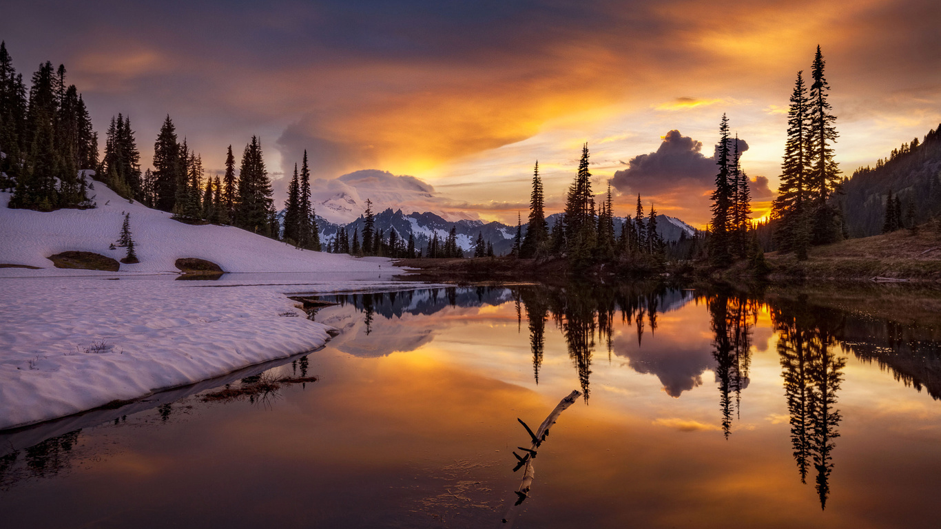 , , doug shearer, , , , , , 