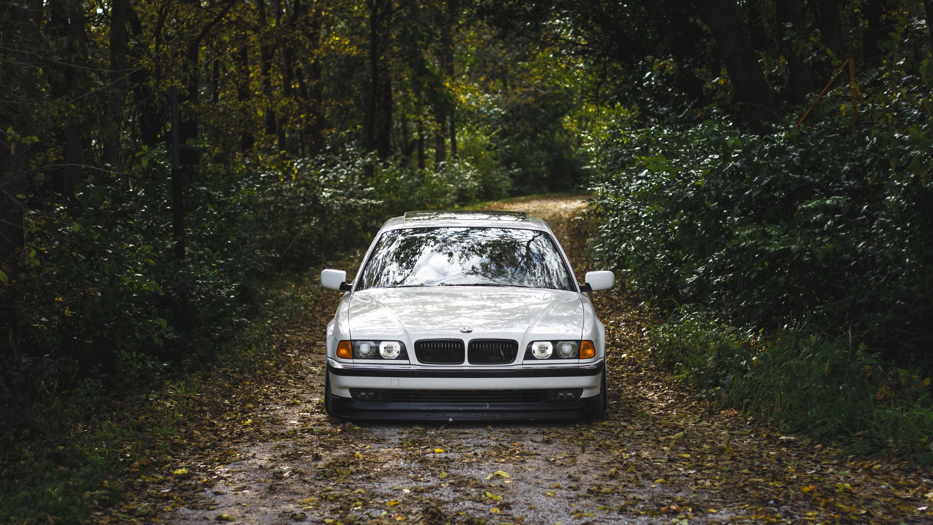 , e38, 