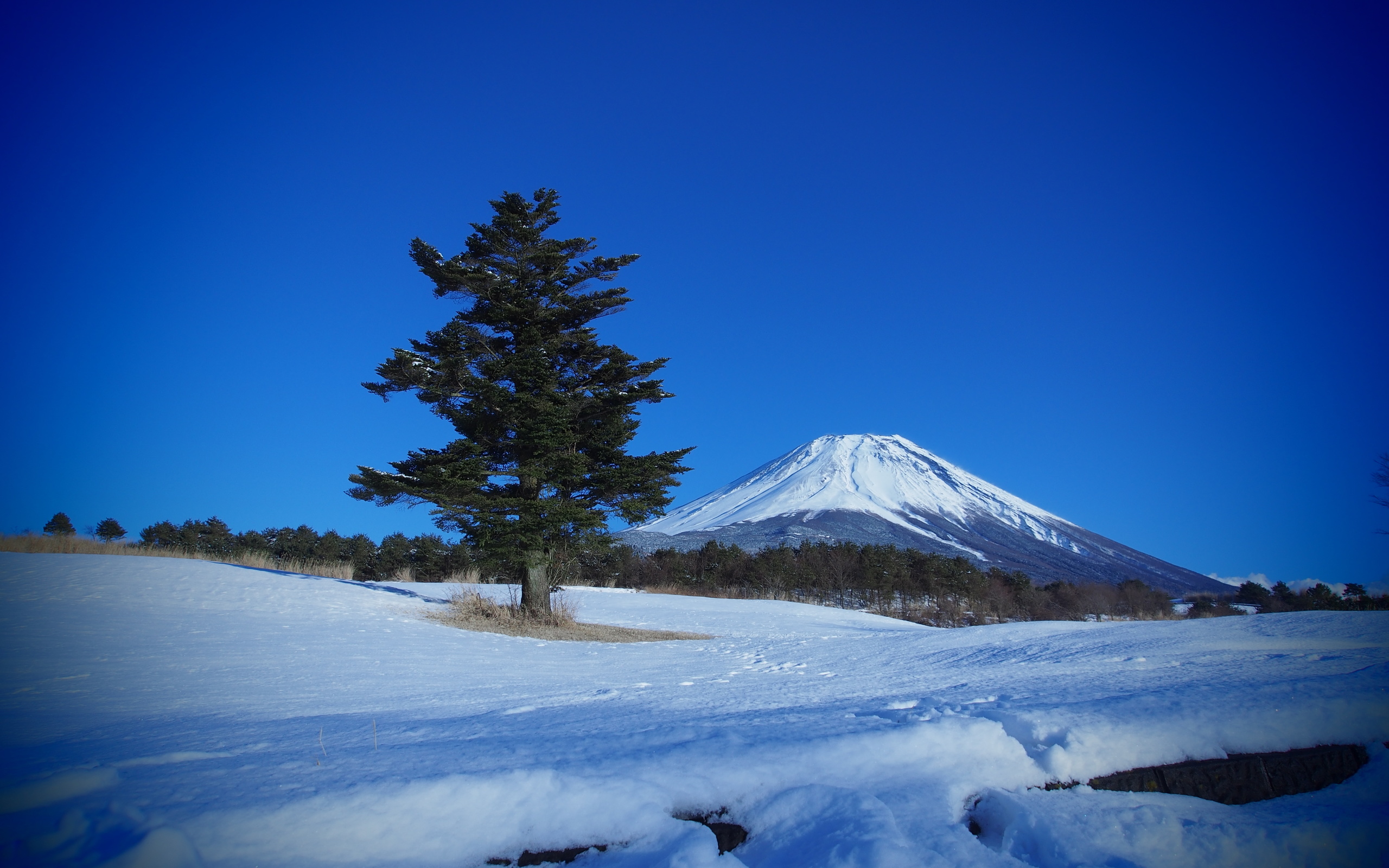 fuji, japan, , , , 