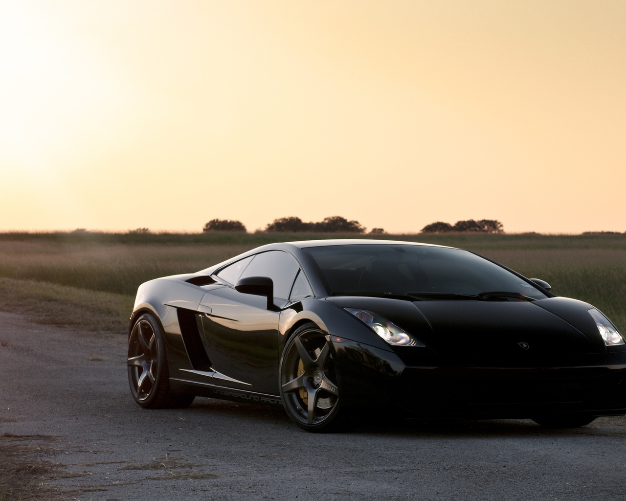 lamborghini, gallardo