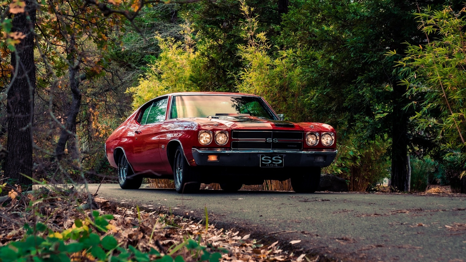 chevrolet, chevelle