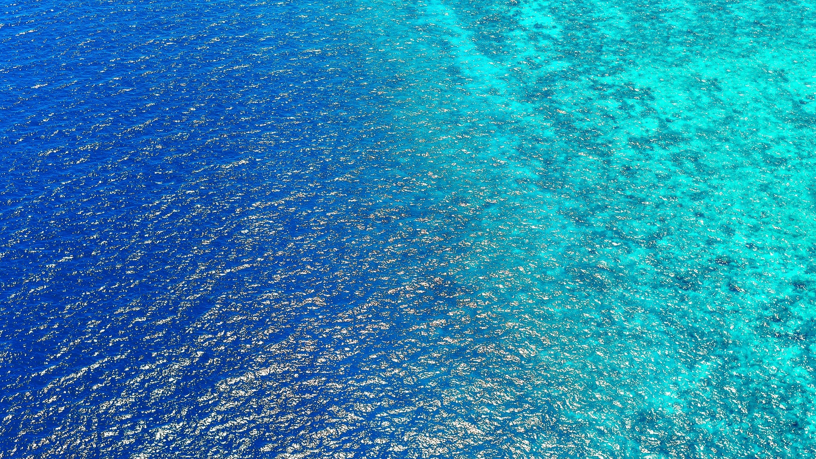 birds view, sea