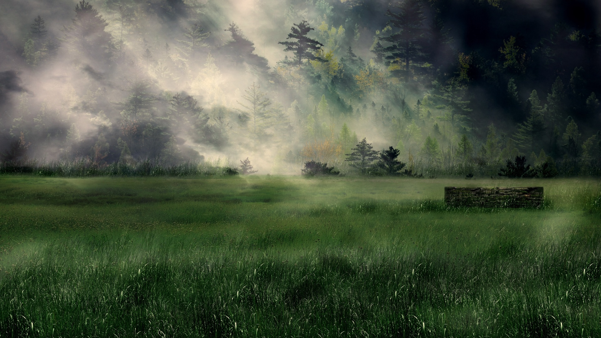 Картинки лес деревья туман природа обои 1920x1080 картинка №387714