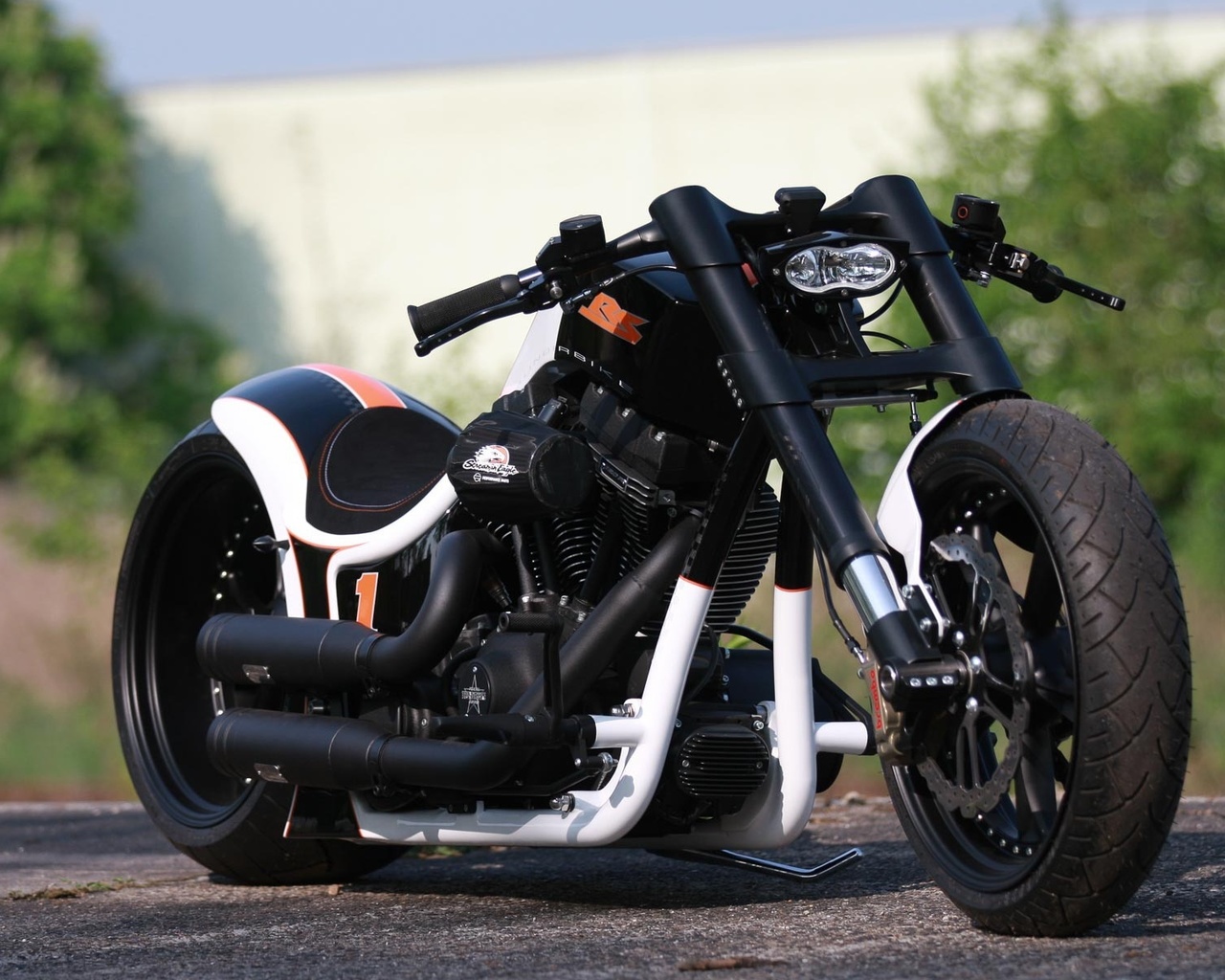 harley davidson, custom, thunderbike