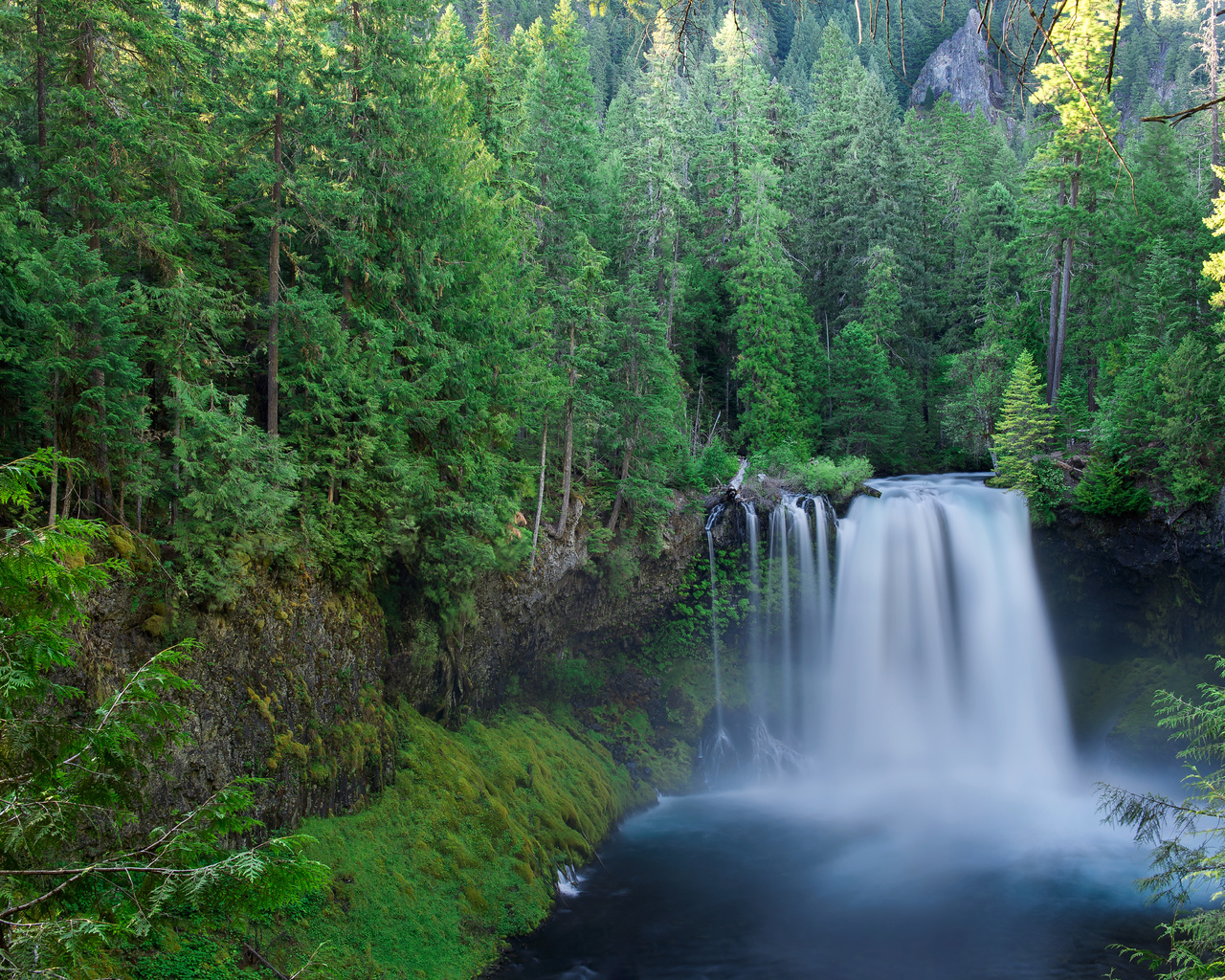 koosah, falls, willamette, national, linn, county, oregon