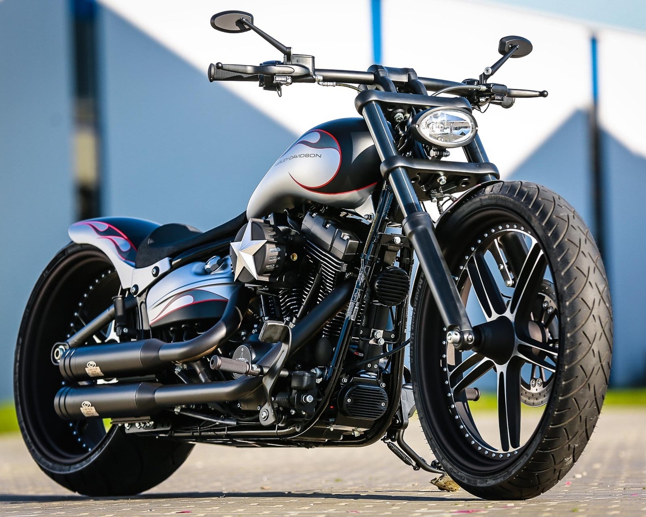 harley davidson, custom, thunderbike, softail