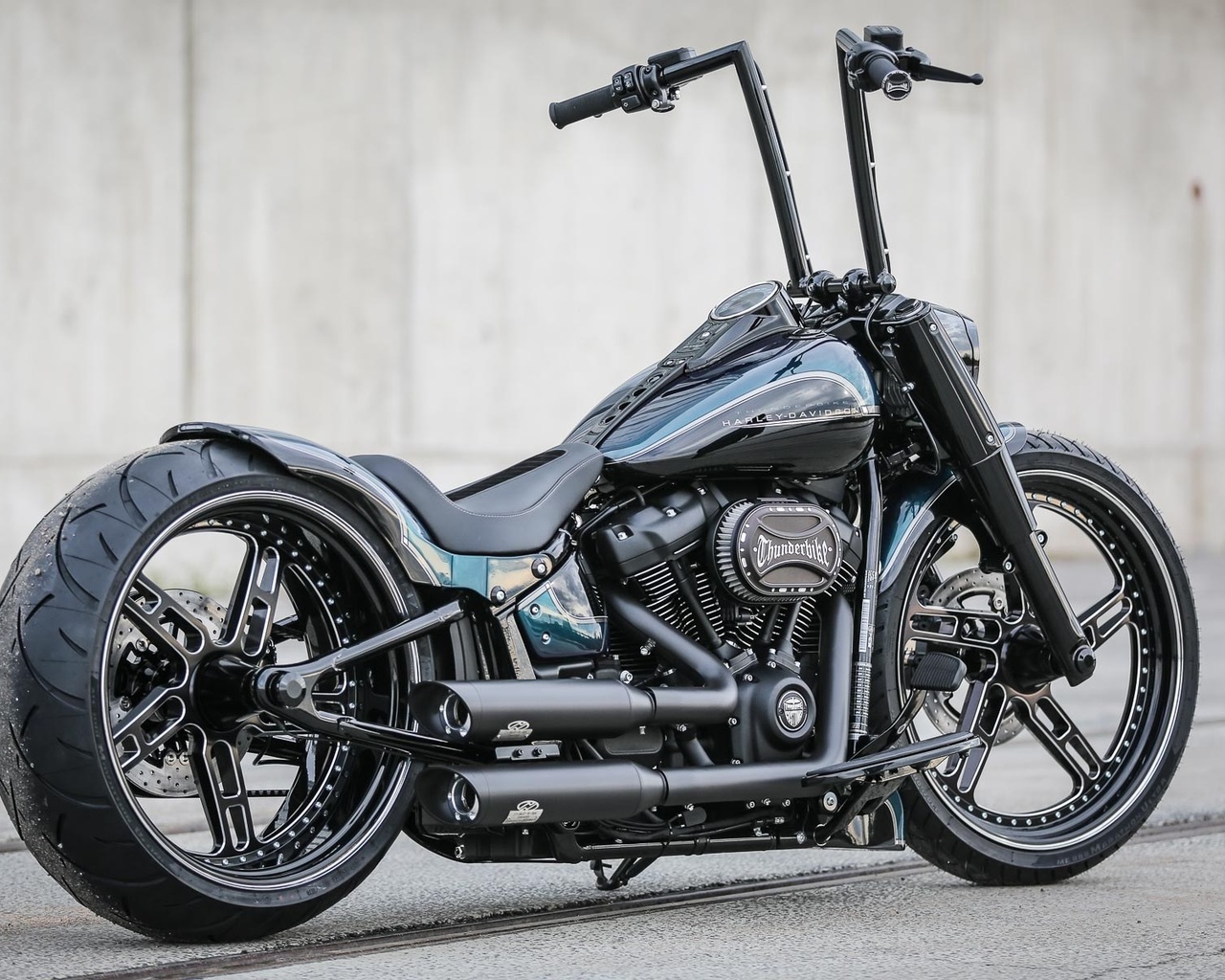 harley davidson, custom, thunderbike