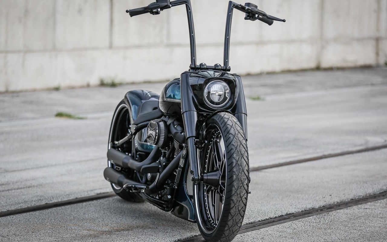 harley davidson, custom, thunderbike, fat boy, black apple