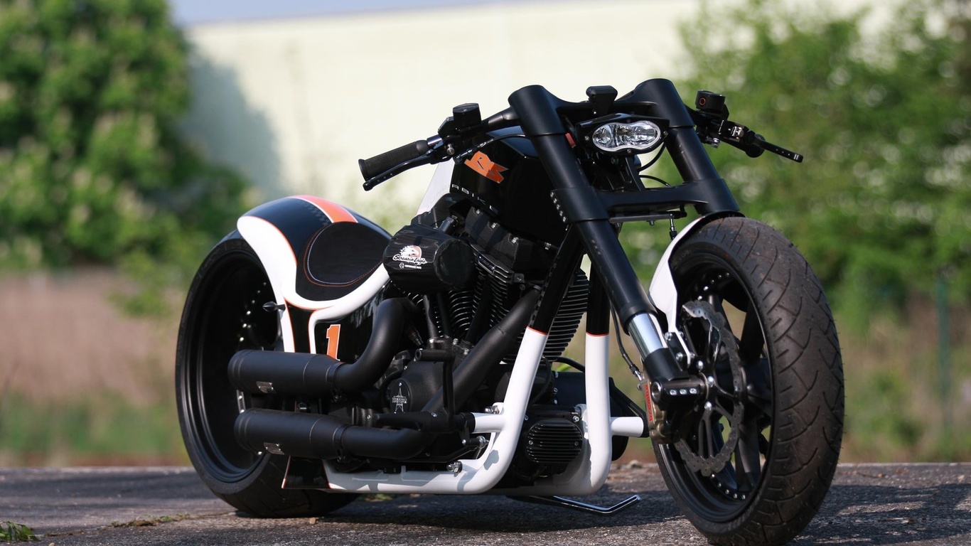 harley davidson, custom, thunderbike