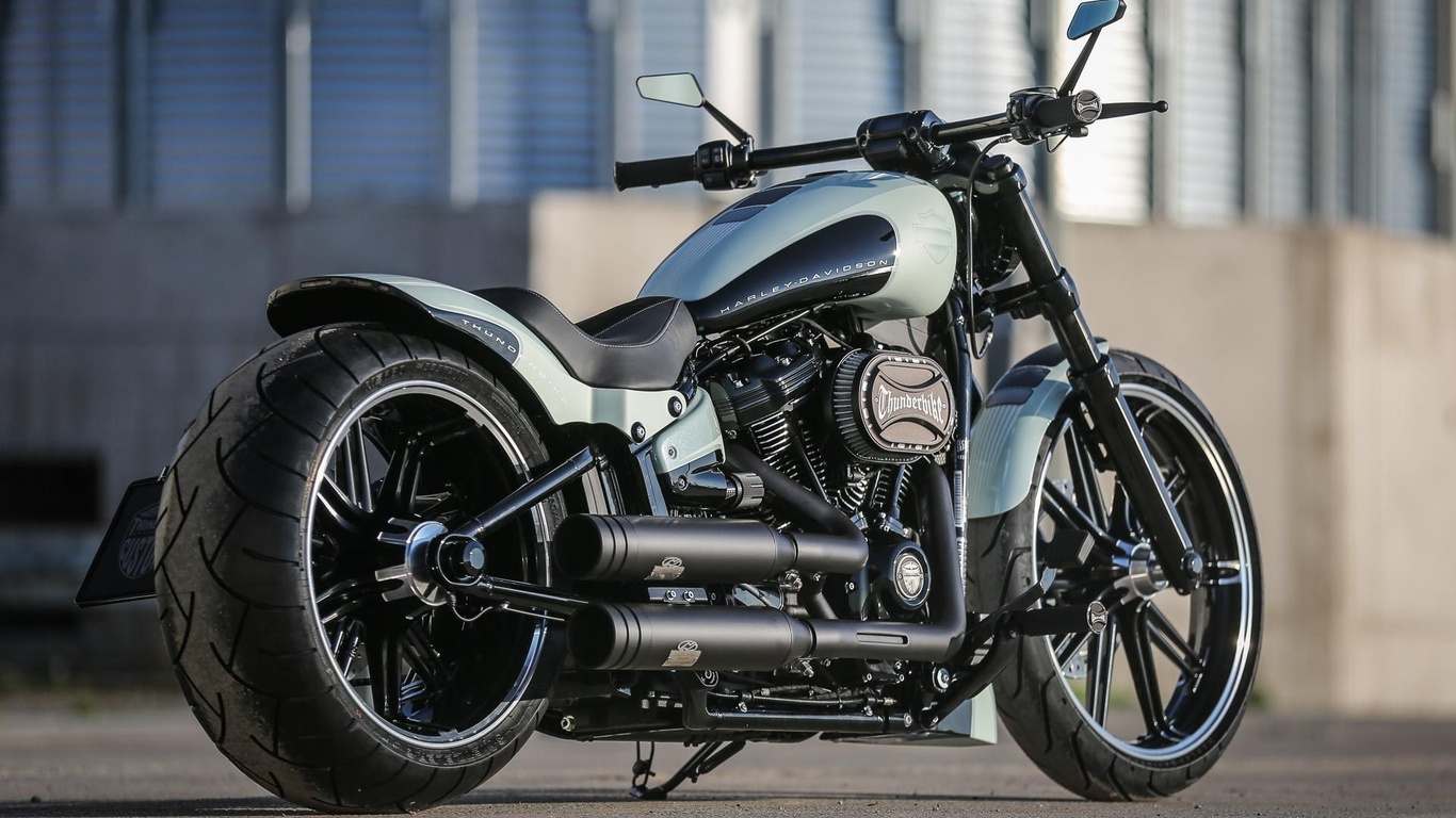 harley davidson, custom, thunderbike