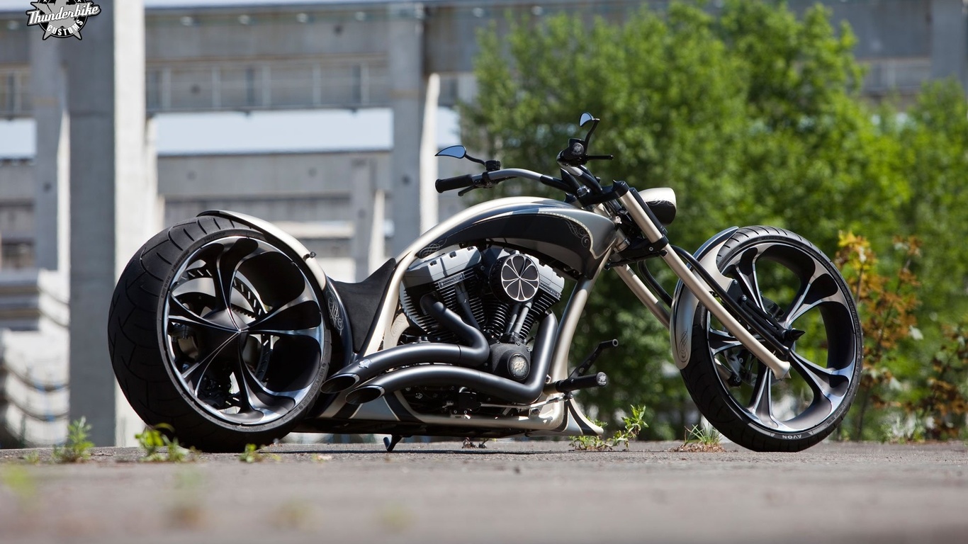 harley davidson, custom, thunderbike