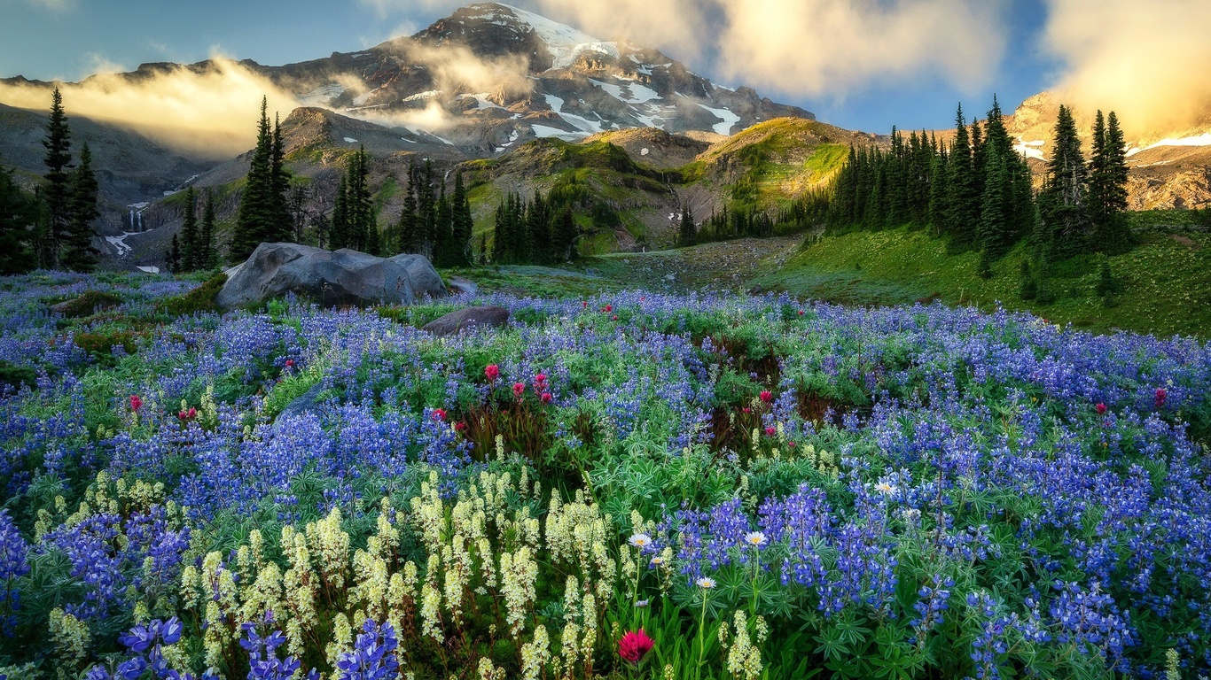 , , mount rainier, , , ,  , , , , 