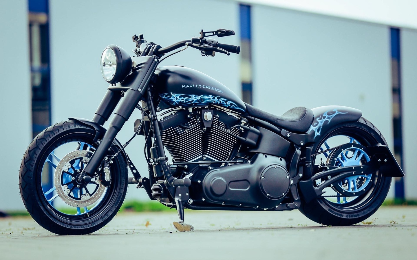 harley davidson, custom, thunderbike