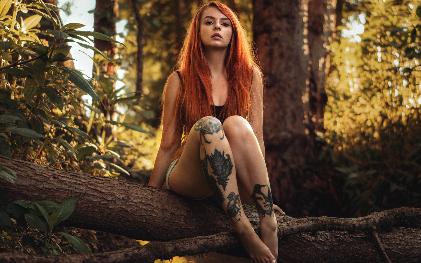 beautiful, girl, redhead, nature, shors, jeans, tattoos, sitting