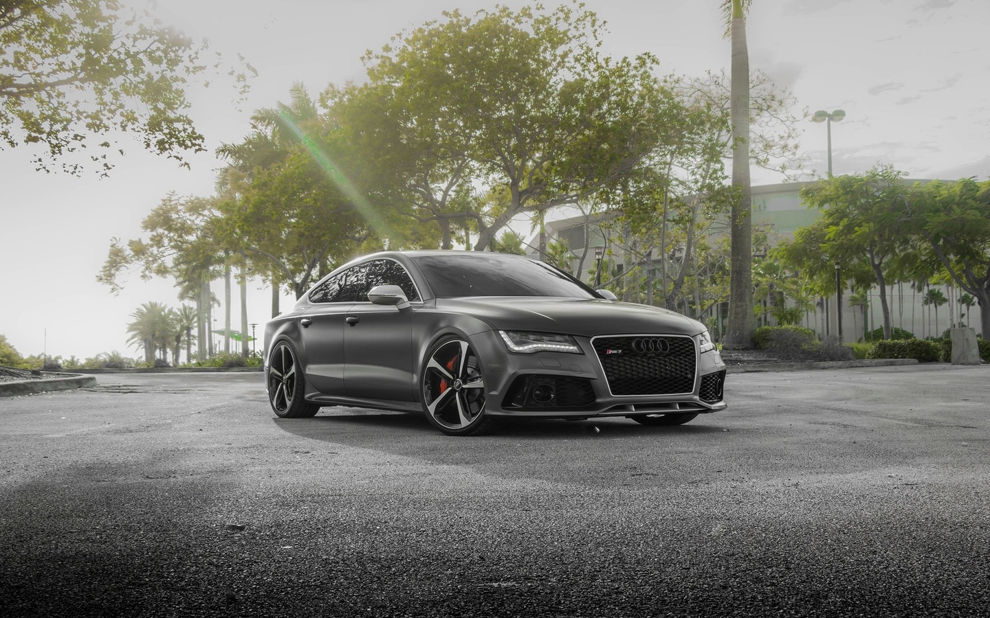 , rs7