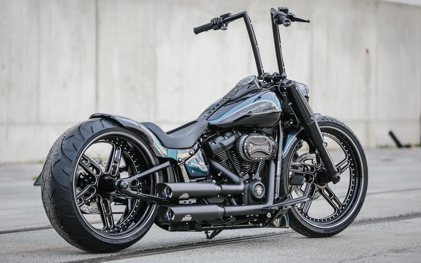 harley davidson, custom, thunderbike