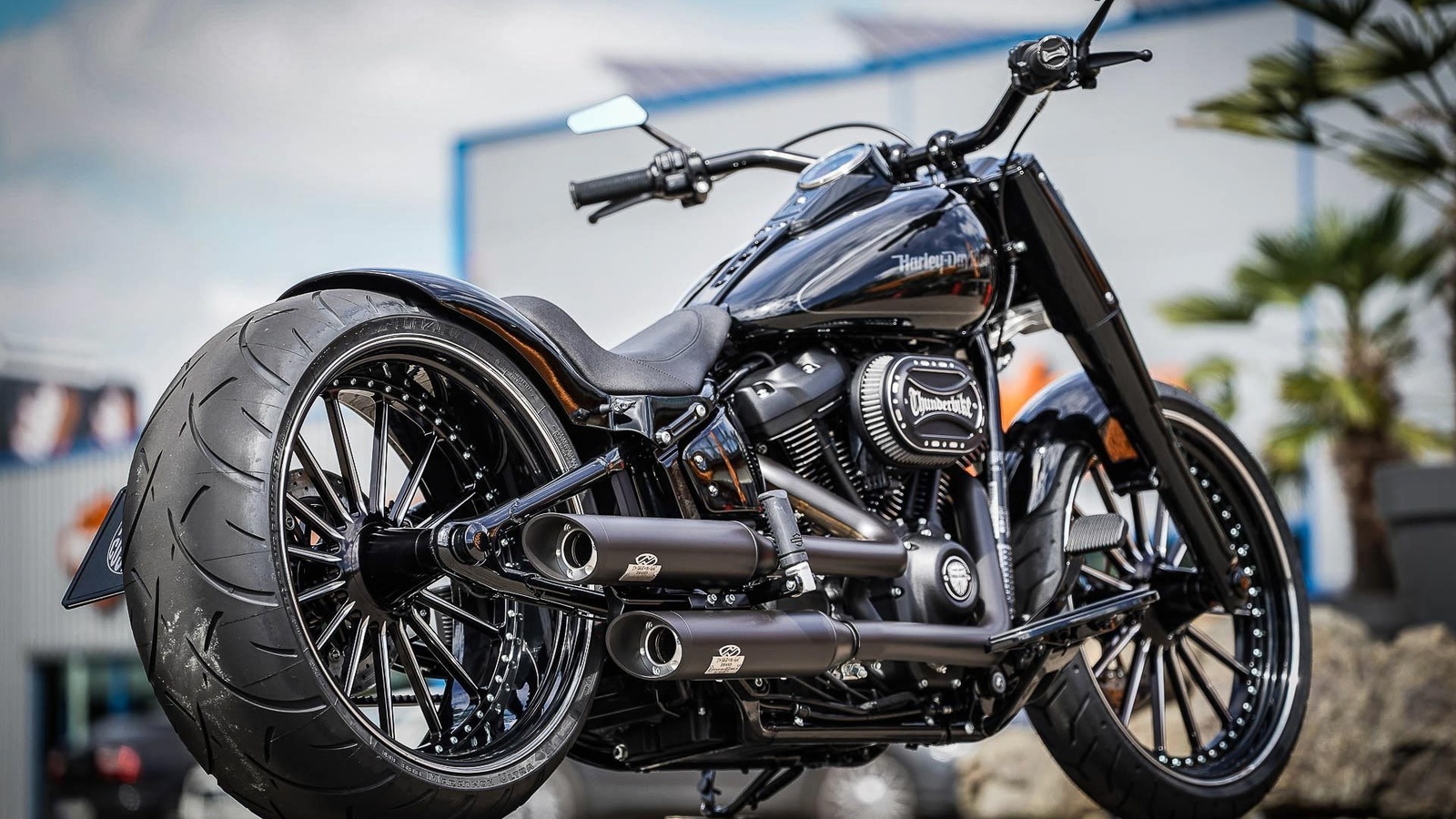 harley davidson, custom, thunderbike