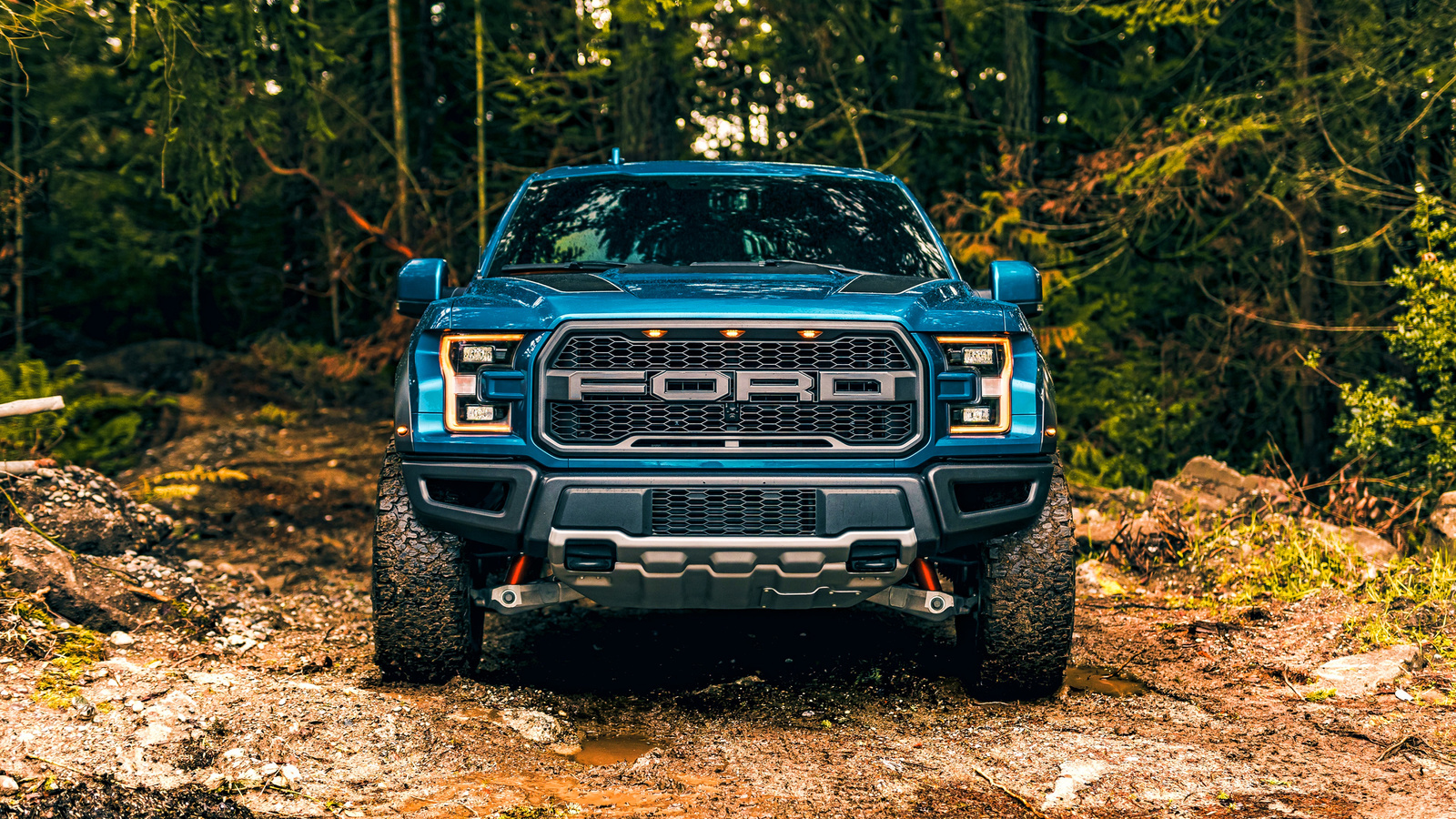 ford, raptor, f-150,  