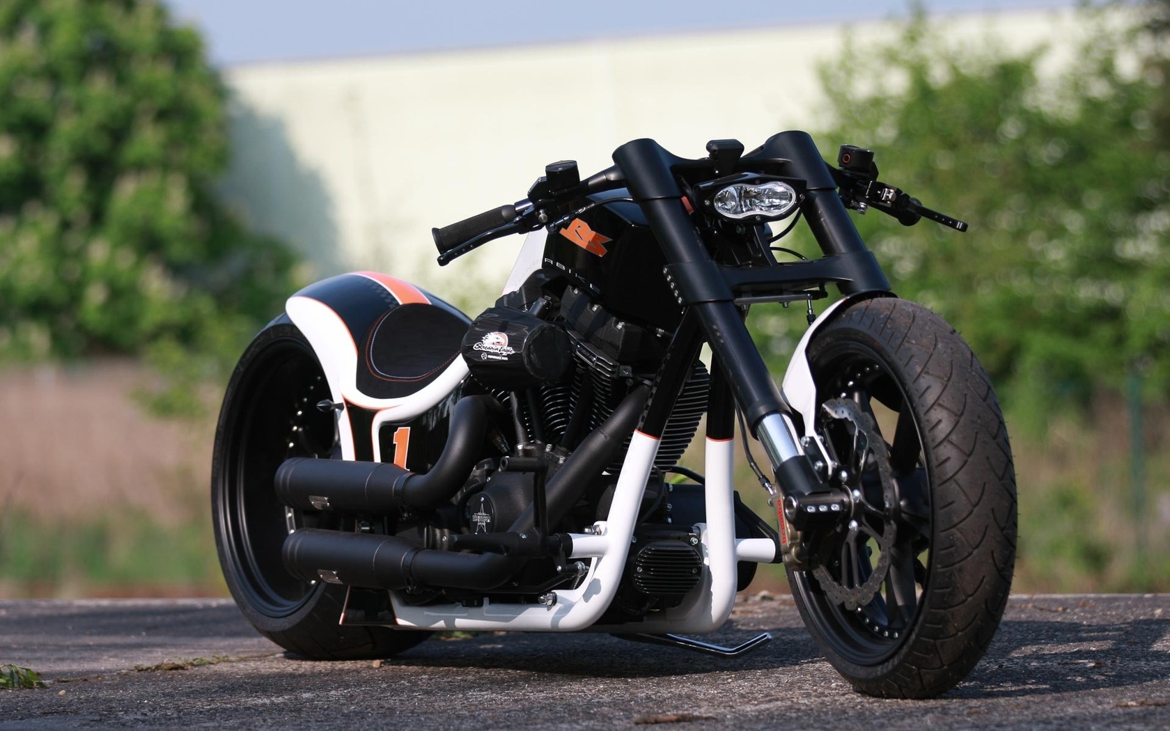 harley davidson, custom, thunderbike