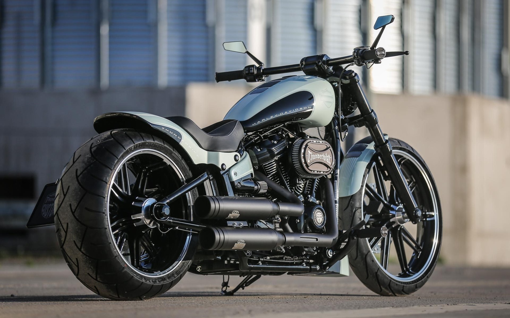 harley davidson, custom, thunderbike