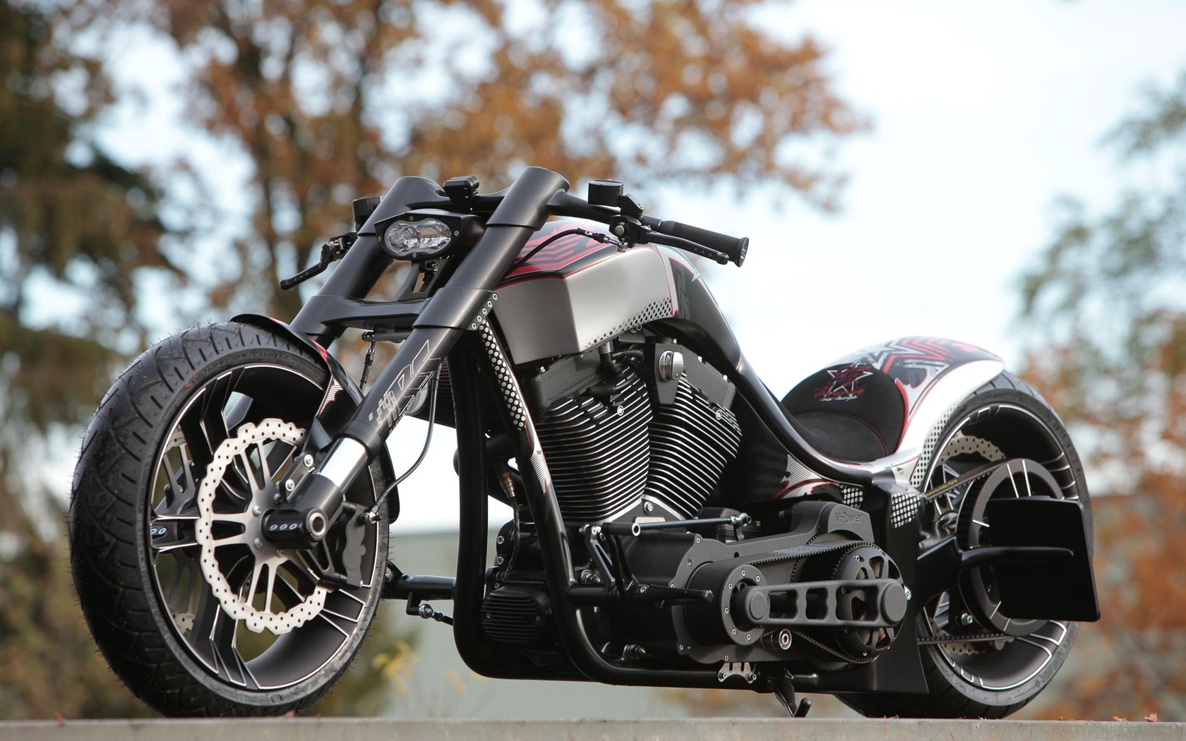 harley davidson, custom, thunderbike