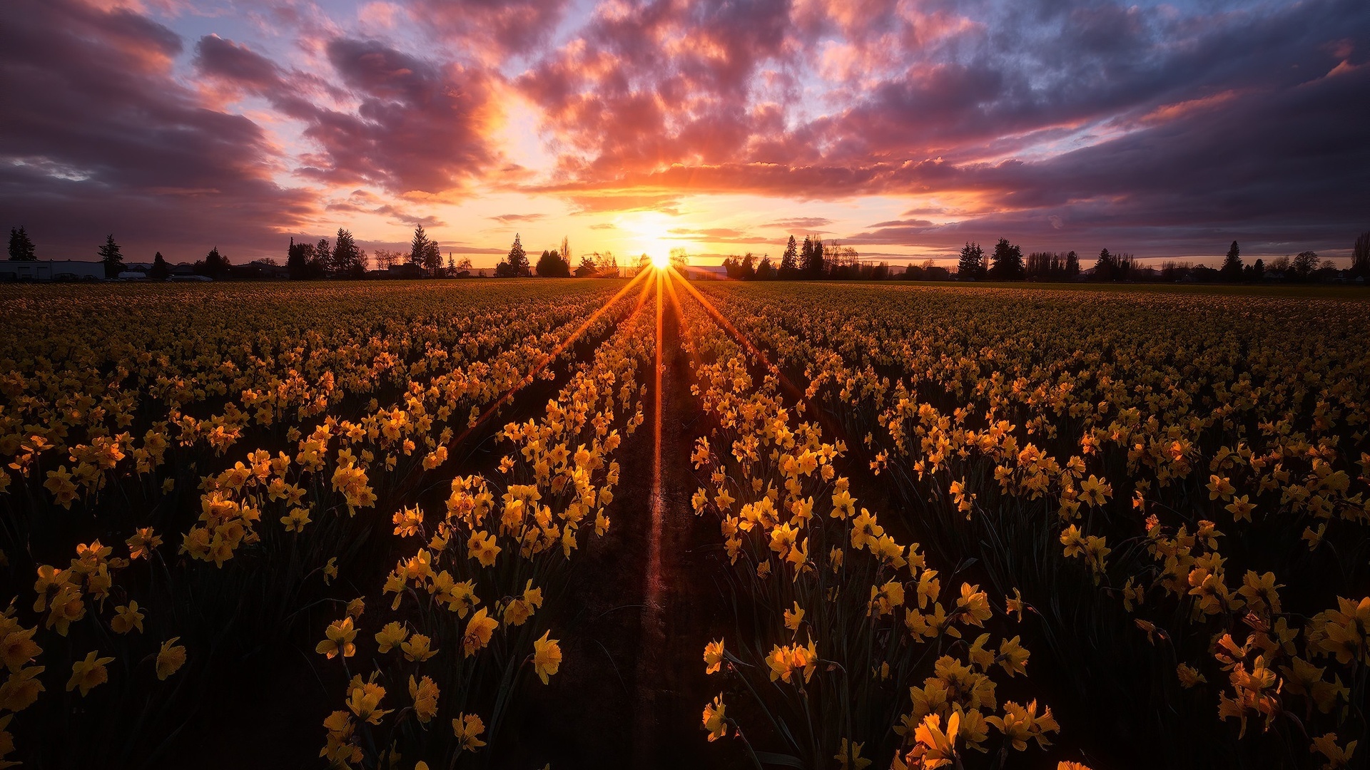 , , , , , , , , , , skagit valley, ,  