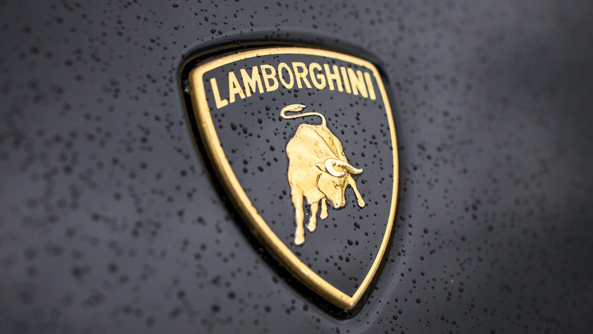 lamborgini, , , 