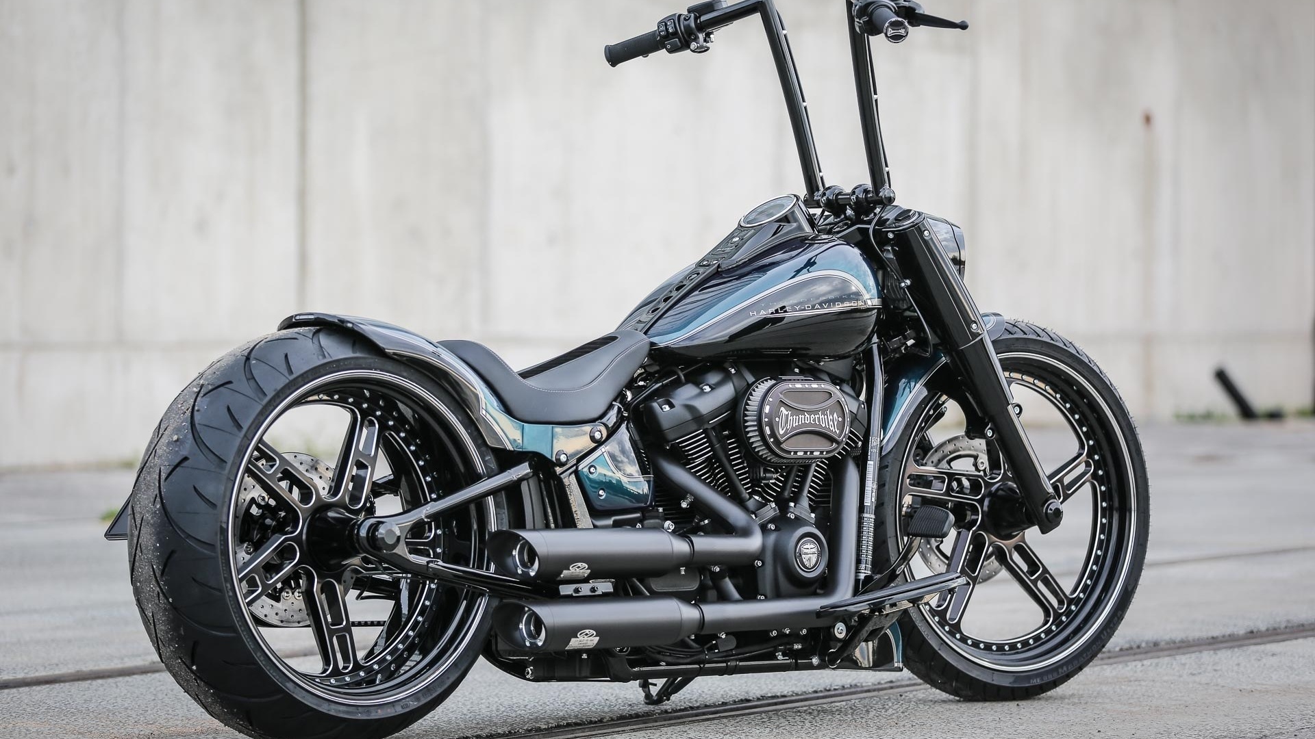 harley davidson, custom, thunderbike