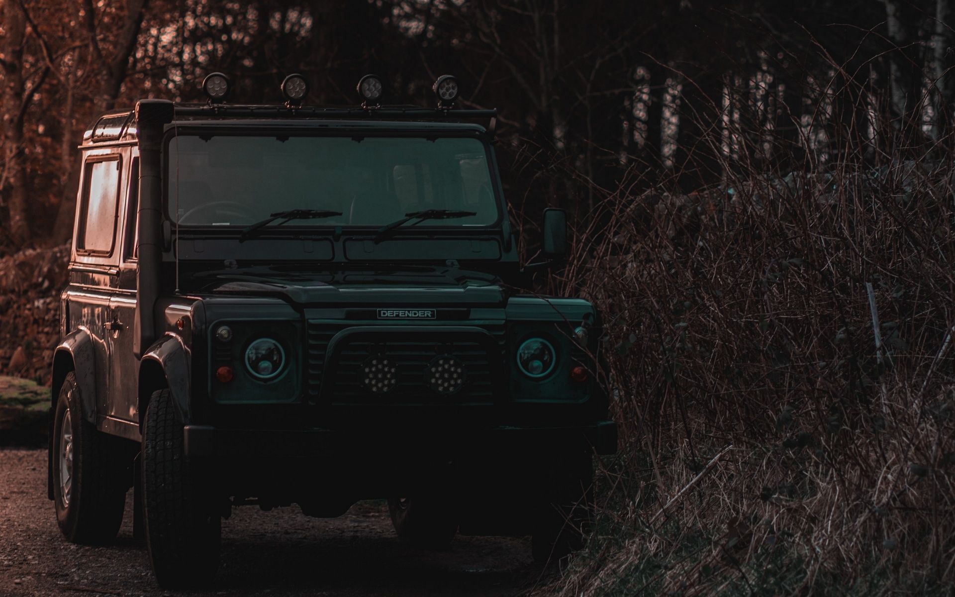 land rover, defender