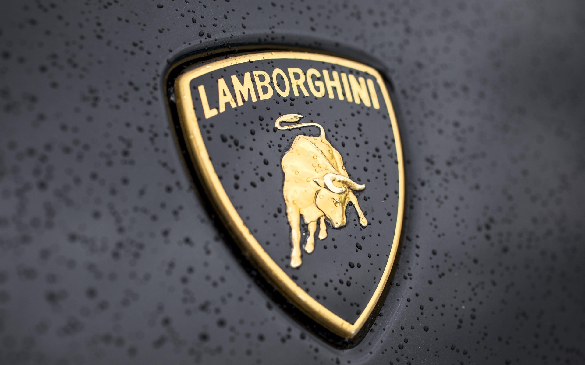 lamborgini, , , 