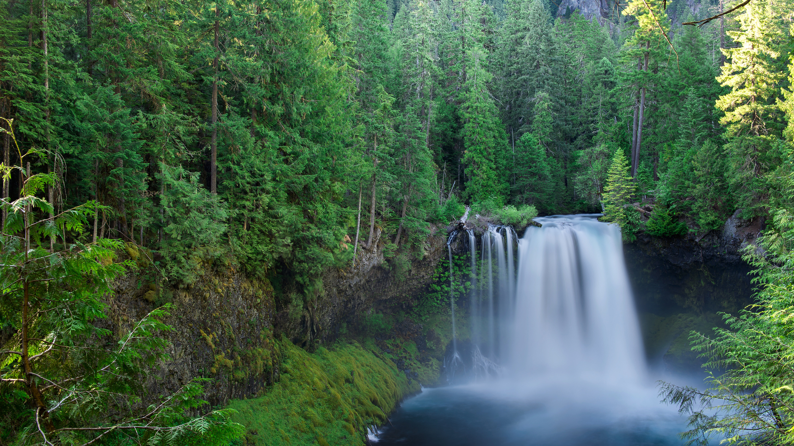 koosah, falls, willamette, national, linn, county, oregon