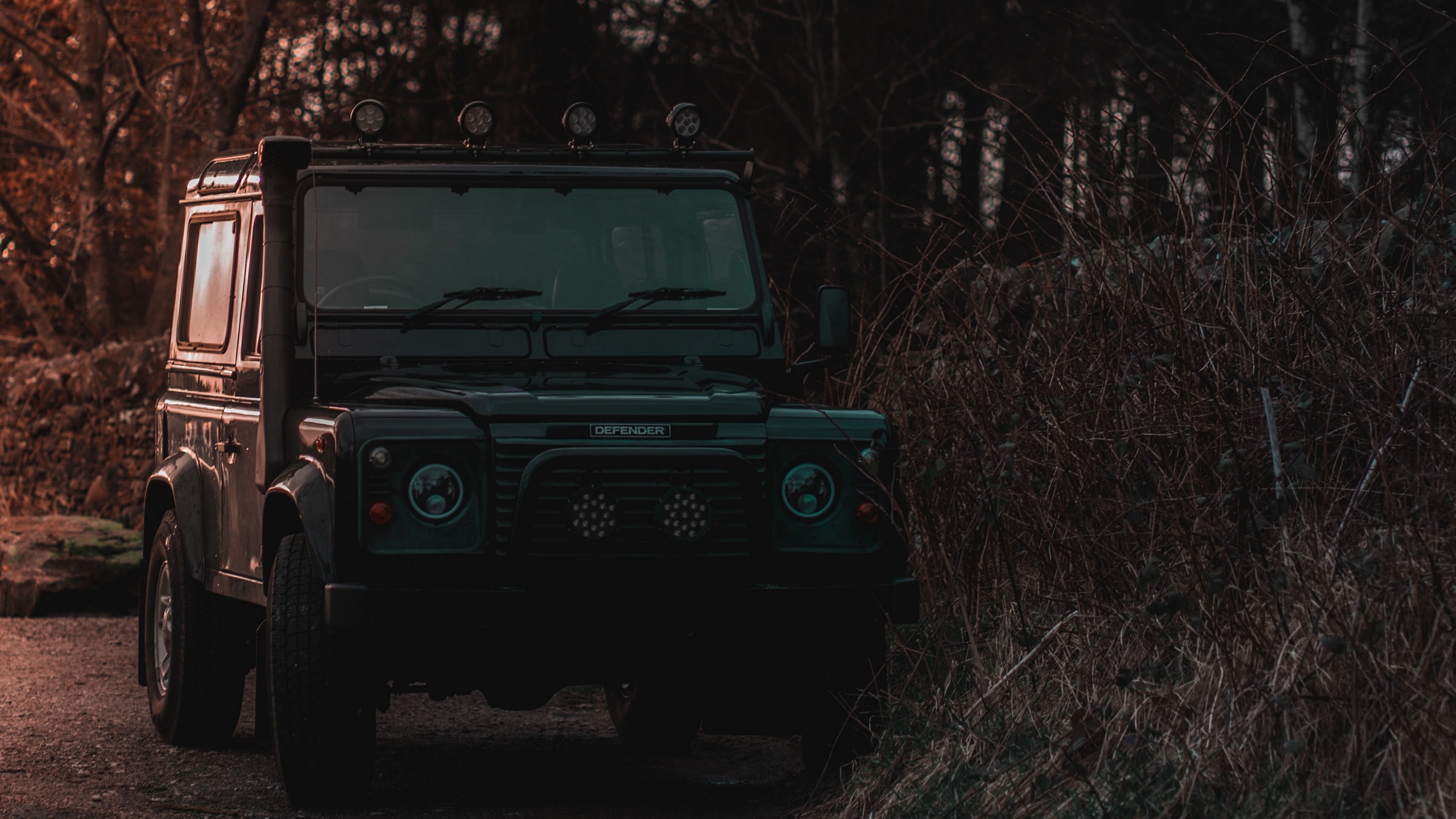 land rover, defender