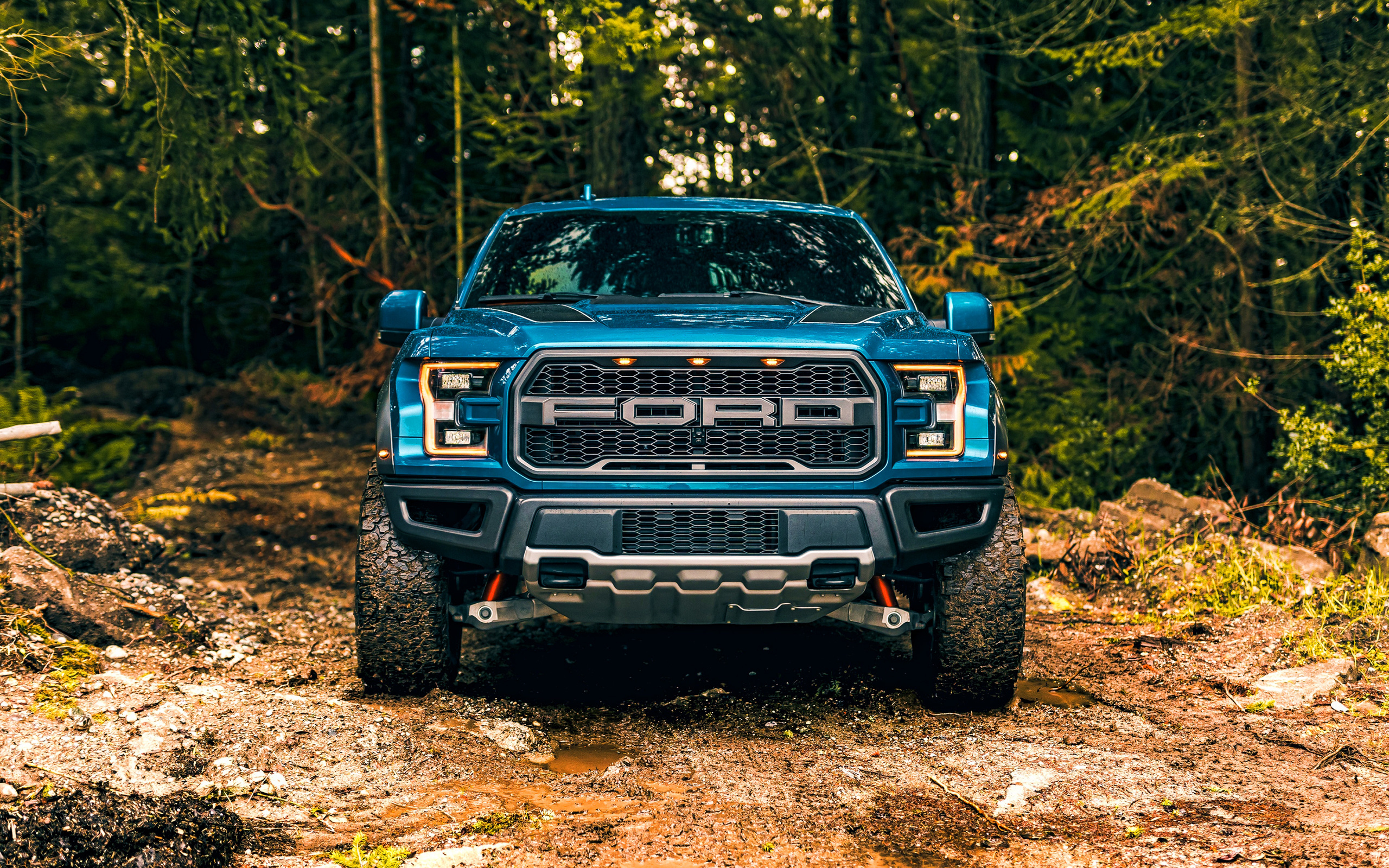 ford, raptor, f-150,  