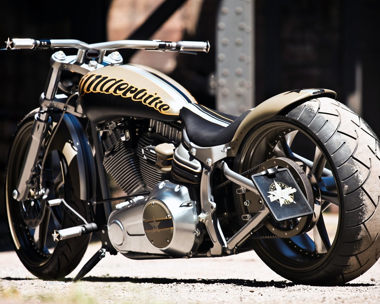 harley davidson, custom, thunderbike